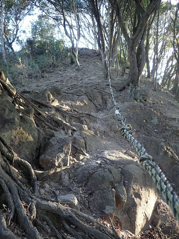e0284726_16463496.jpg