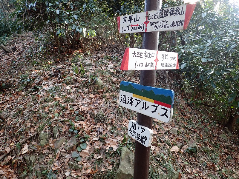 e0284726_1646469.jpg