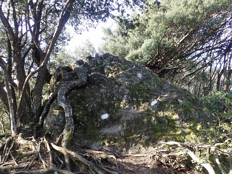e0284726_16481599.jpg