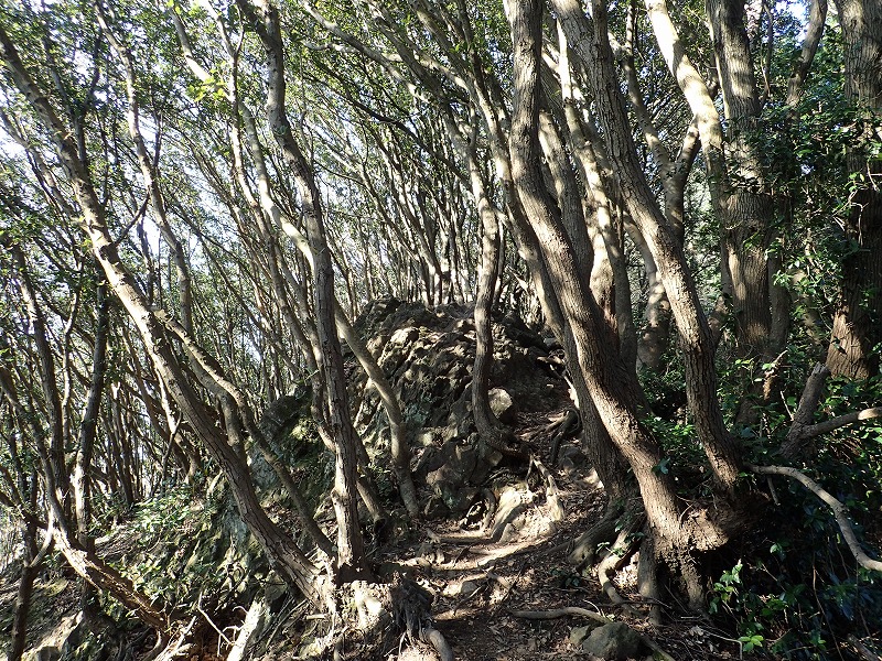 e0284726_1649638.jpg