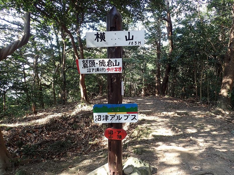 e0284726_16572291.jpg