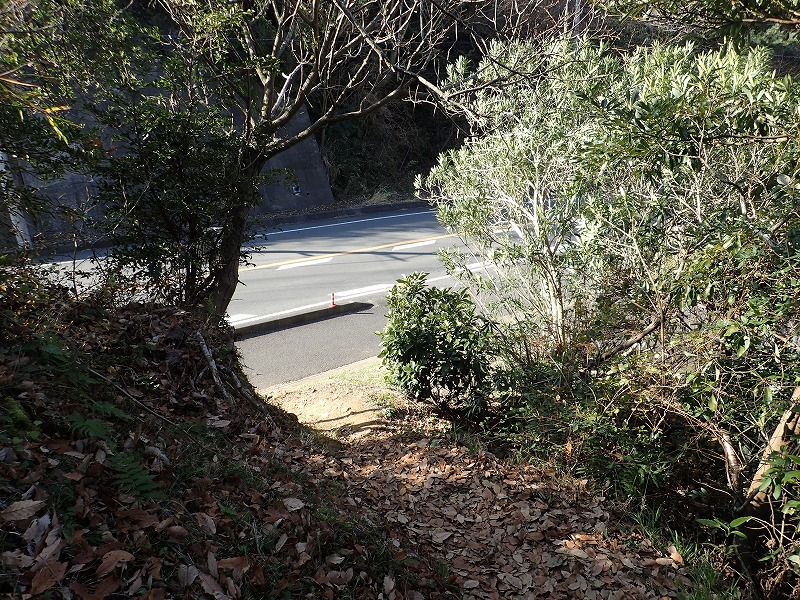 e0284726_16573324.jpg