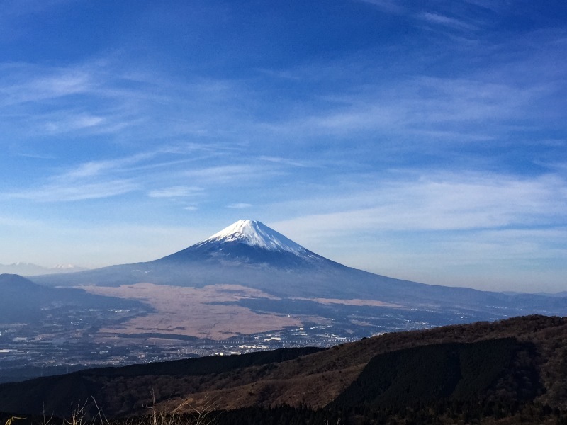 b0042527_17213558.jpg