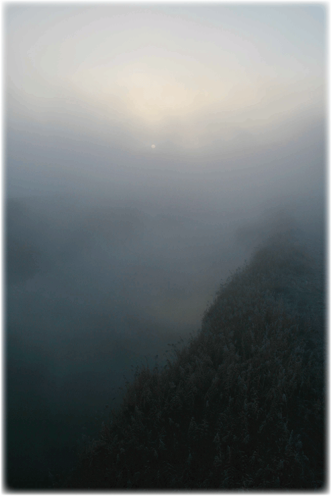 霧の雲海 菊池野_c0107829_17245944.gif
