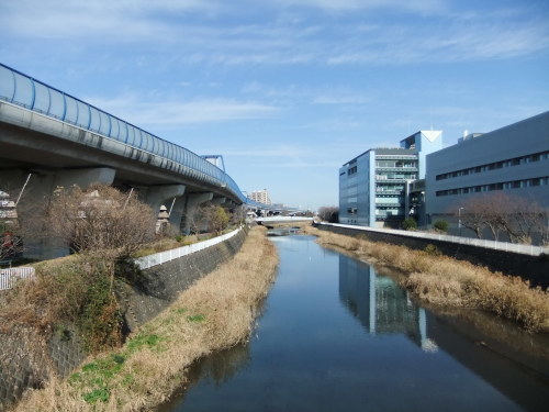 梅満開..春の小川_b0137932_14122566.jpg