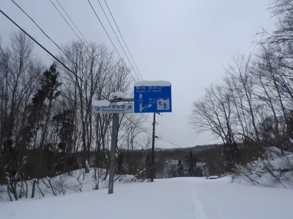 f0118332_00065539.jpg
