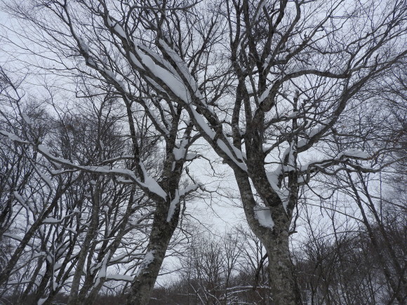 f0118332_00092770.jpg