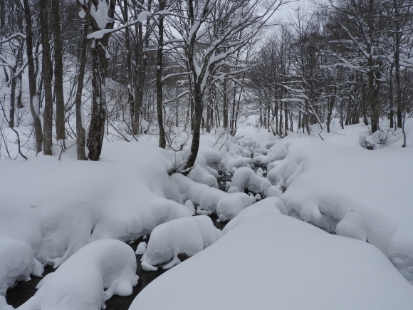 f0118332_00094130.jpg