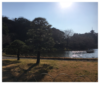 横浜三渓園へ　♩_d0268536_1722324.png