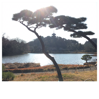 d0268536_1723980.png