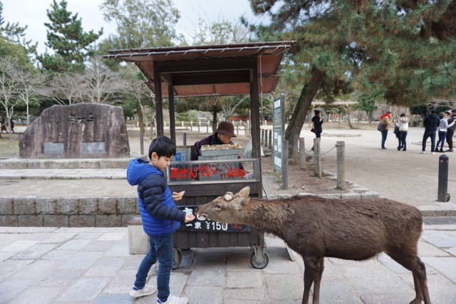 2016* 奈良県_a0118938_19043425.jpg