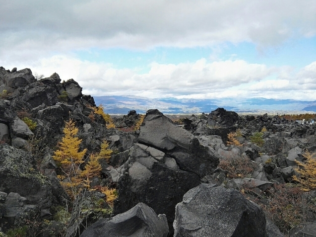 c0234938_07420341.jpg