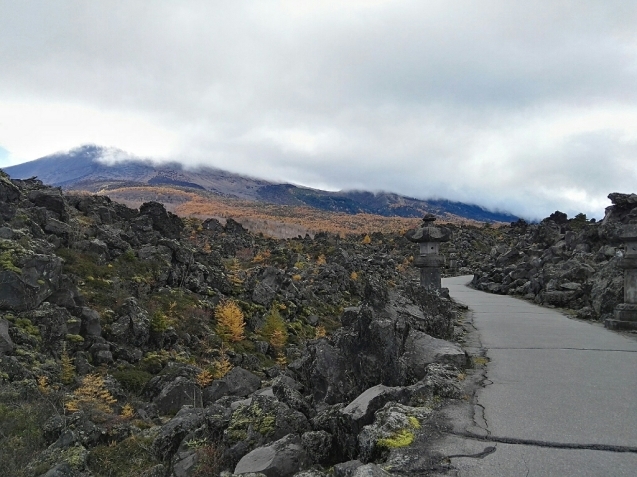 c0234938_07421490.jpg