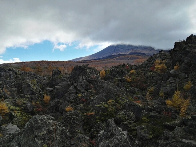 c0234938_07422662.jpg