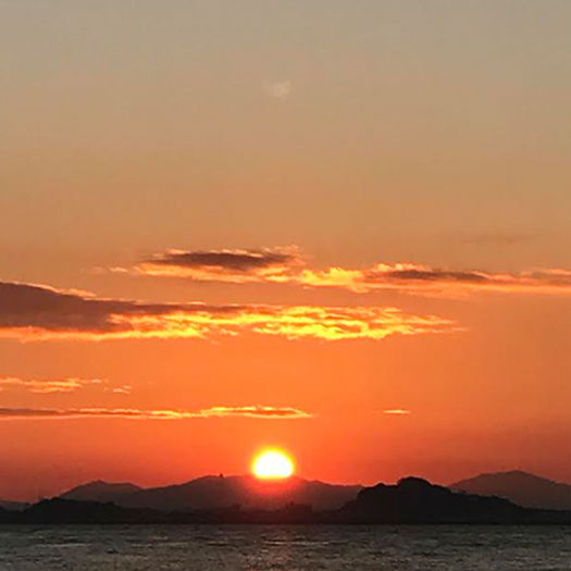 f0226045_17455946.jpg