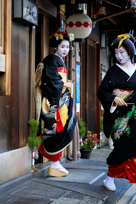  新年の挨拶回り（上七軒・梅葉さん、梅ちえさん、梅ひなさん、梅叶菜さん）_f0155048_2350598.jpg