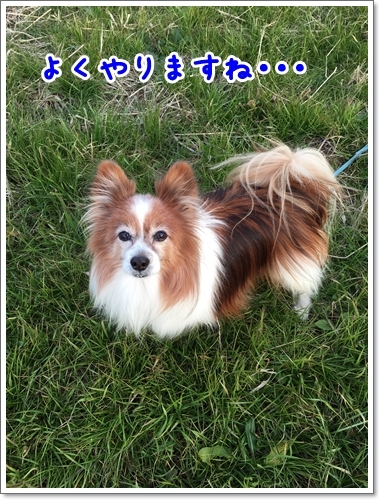 d0013149_00440152.jpeg