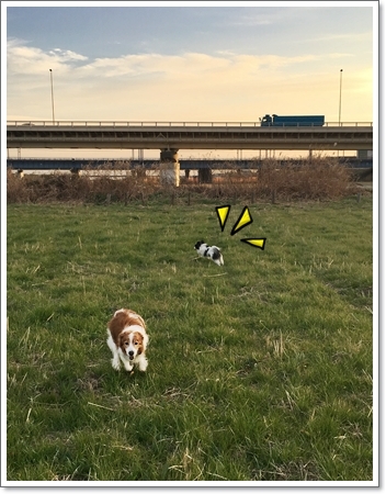 d0013149_00441299.jpeg