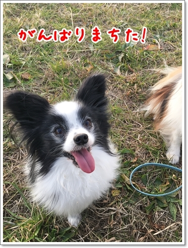 d0013149_00442177.jpeg