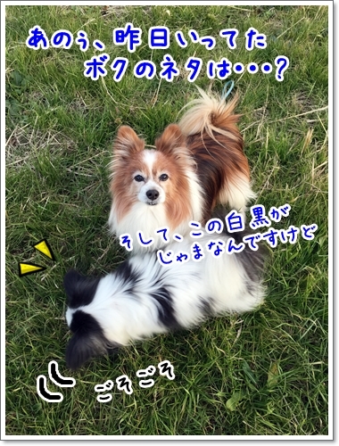 d0013149_01354037.jpeg
