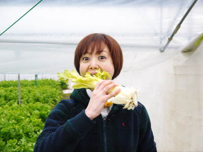 令和4年の熊本セロリ「清正人参」ラストチャンス!今期の出荷は残り2回!数量限定!お急ぎ下さい!_a0254656_1853423.jpg