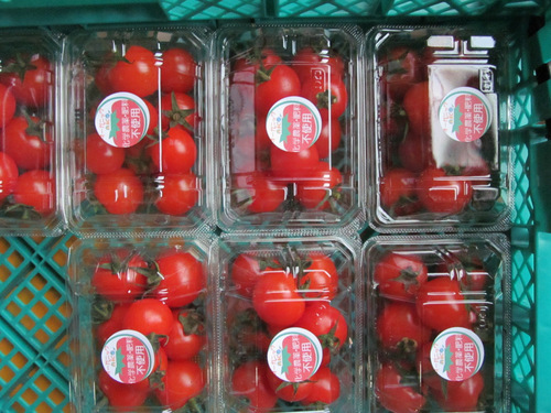 11時からスタート、今日の目玉商品はまさかの有機栽培トマト！_f0129557_8222082.jpg