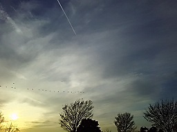 f0130259_11254286.jpg