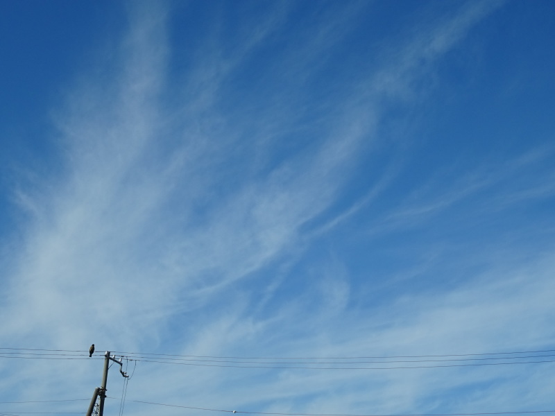 c0108460_18271299.jpg