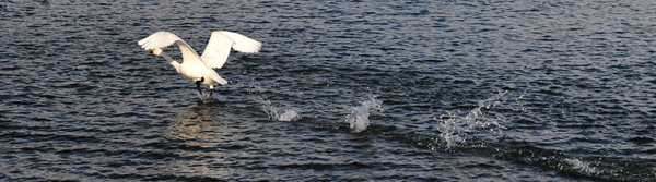 e0364666_22004187.jpg