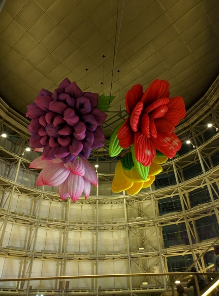 e0153367_16292276.jpg
