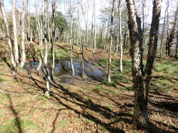 b0185573_16525138.jpg