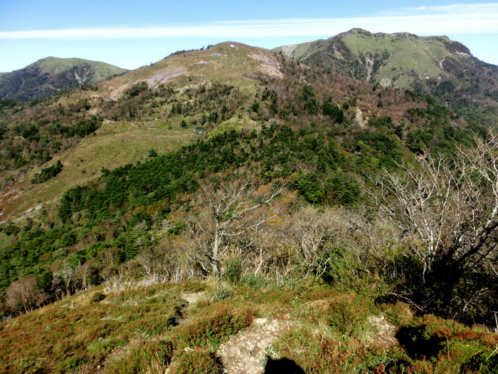 b0185573_17165736.jpg