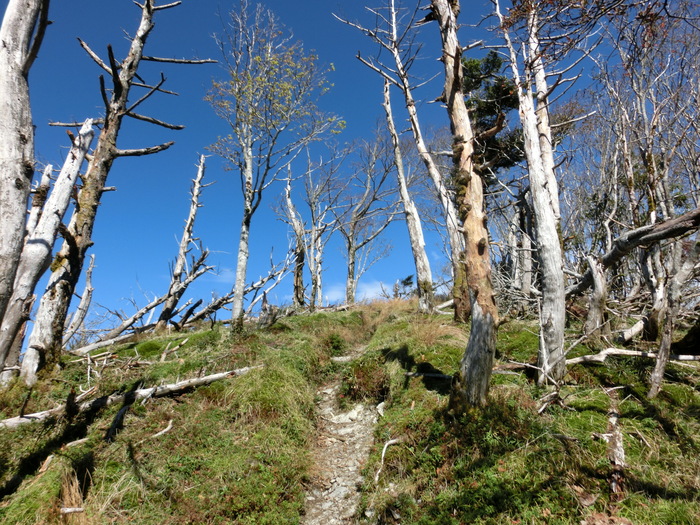 b0185573_1743414.jpg