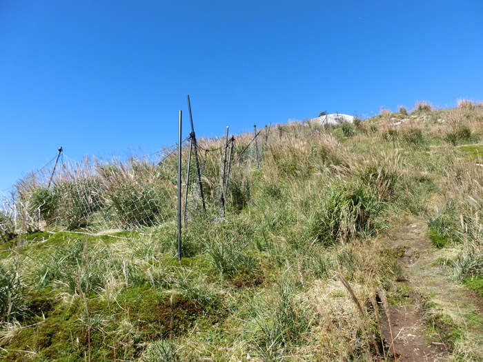 b0185573_17484829.jpg