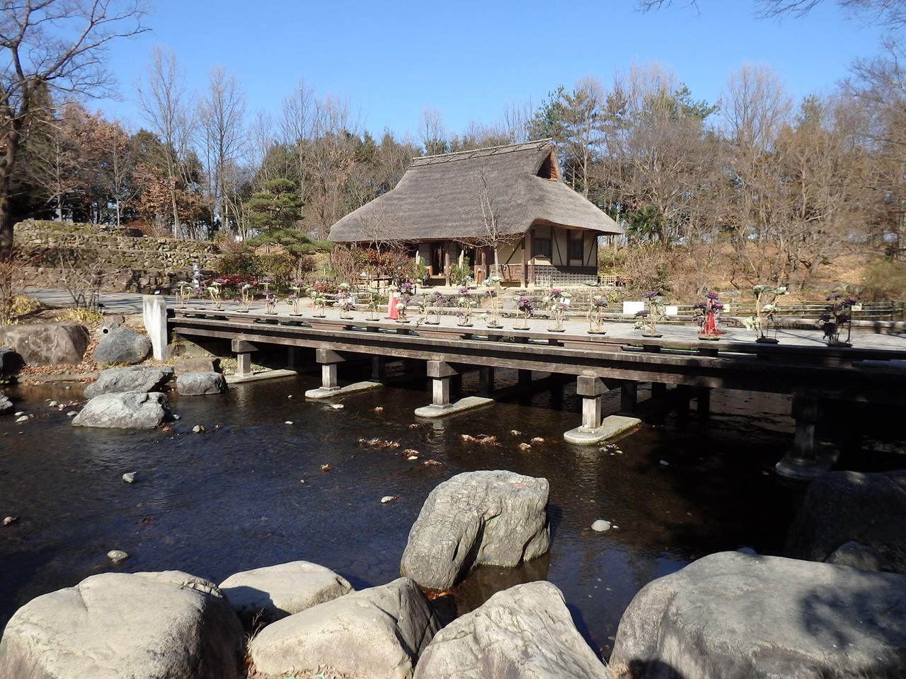 『自然共生研究センターと木曽川水園の風景と鳥達』_d0054276_20455838.jpg