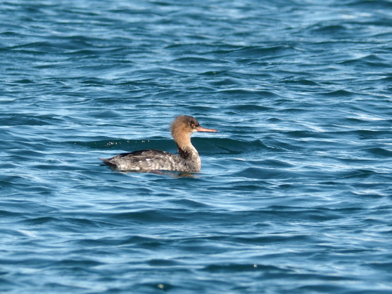 f0372177_22151369.jpg