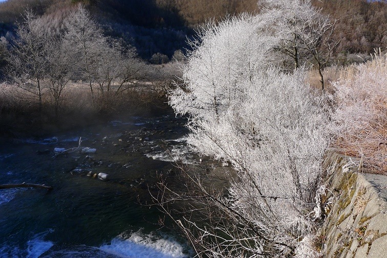 a0130586_10182222.jpg