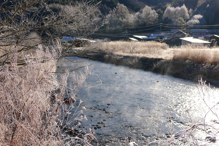 a0130586_1020412.jpg
