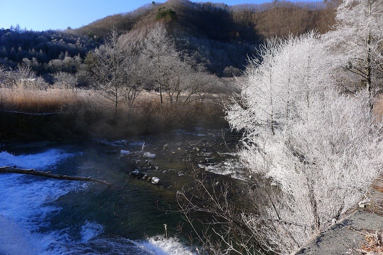 a0130586_1022640.jpg