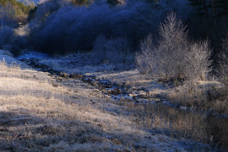 a0130586_10284347.jpg