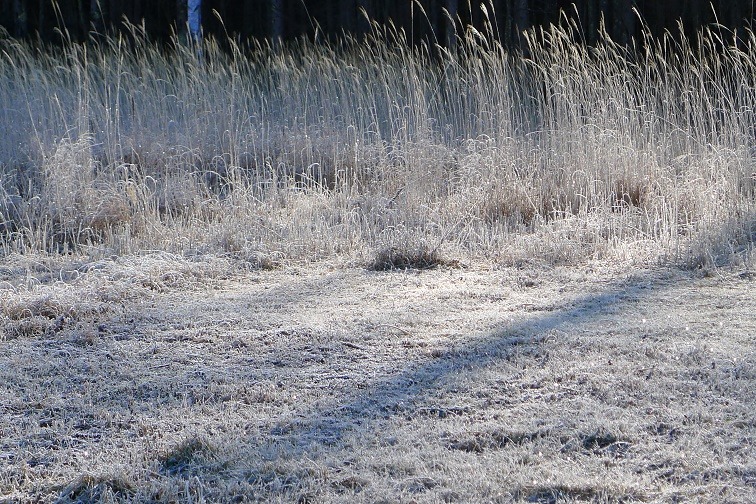 a0130586_10301832.jpg