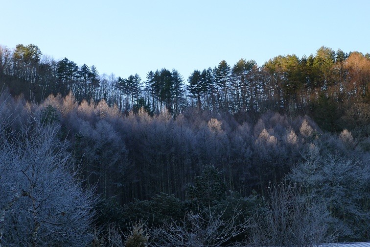 a0130586_9574051.jpg