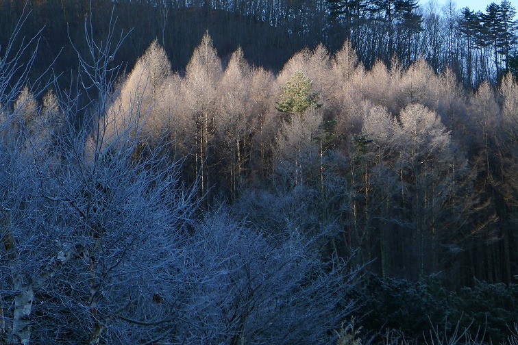 a0130586_959794.jpg