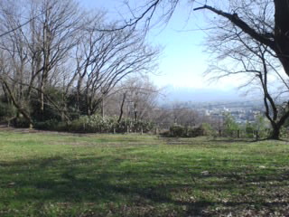 d0177286_17164860.jpg