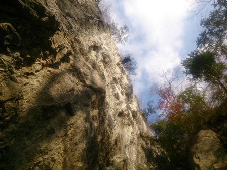 c0018489_23531347.jpg