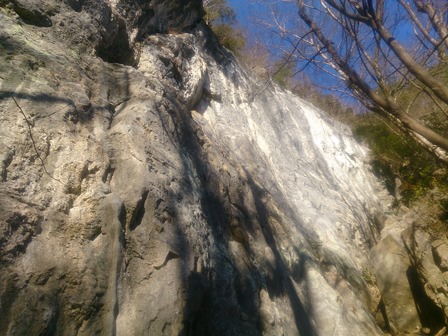 c0018489_23555486.jpg