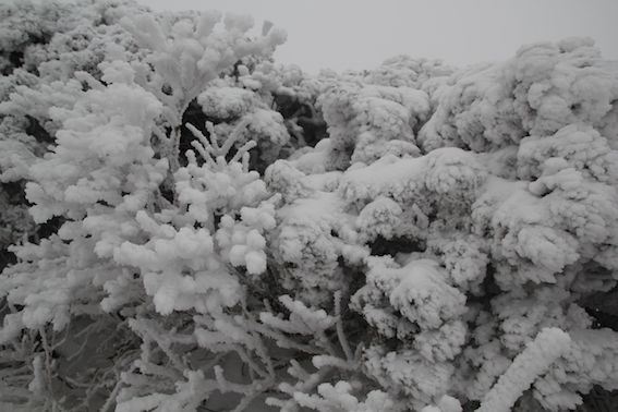 f0230689_2191721.jpg