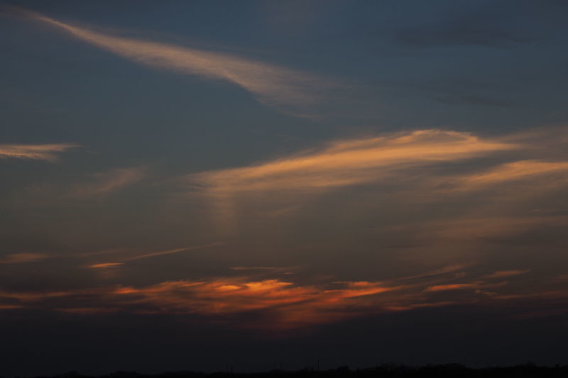 a0183690_20010498.jpg