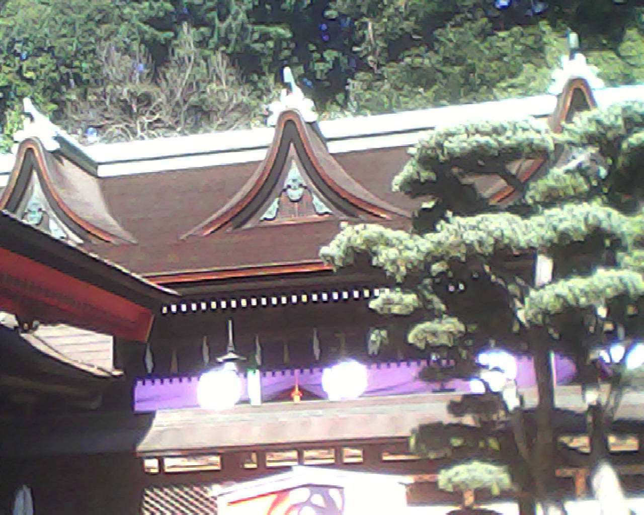 a0335493_15473345.jpg