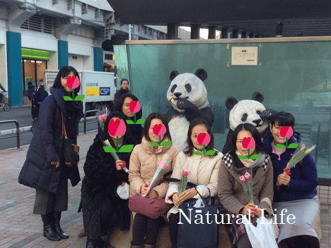 b0162000_7551739.gif